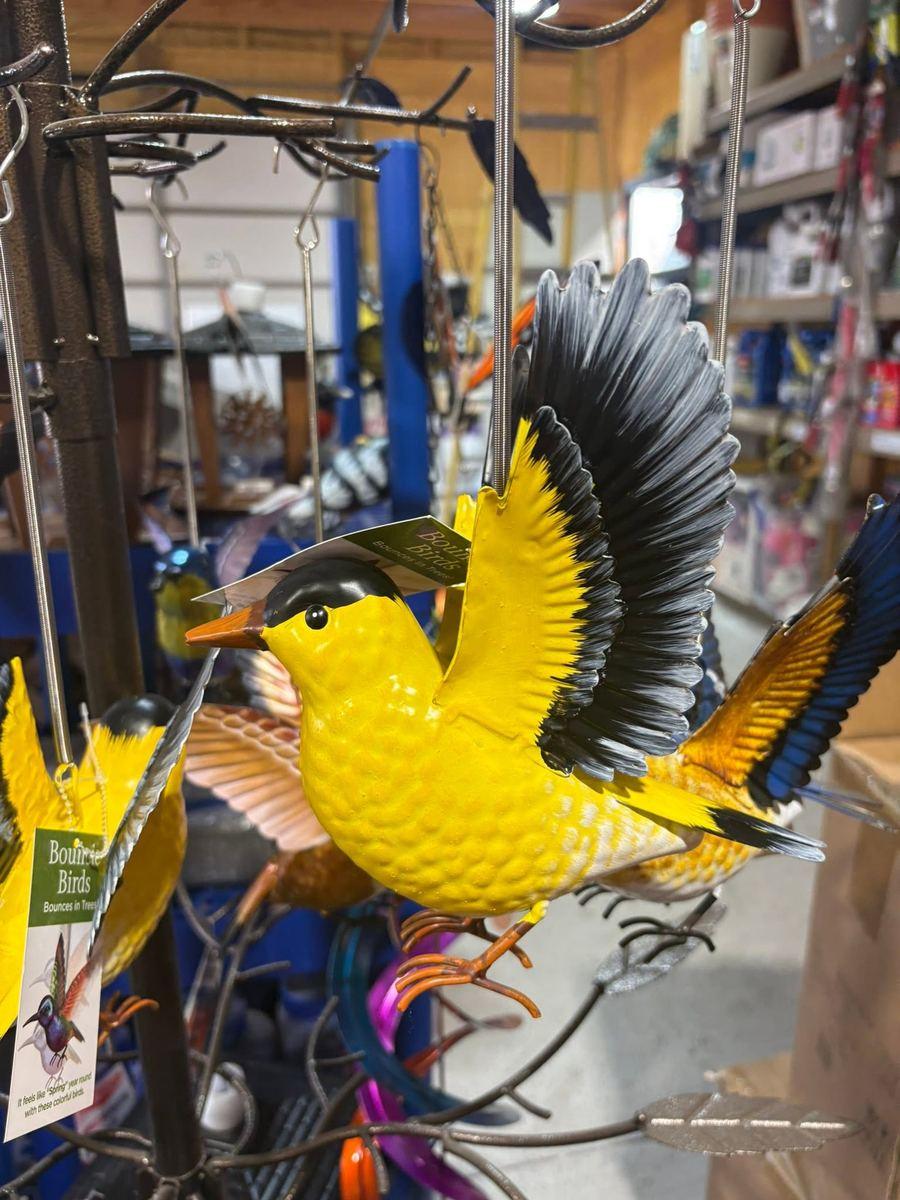 A colorful metal bird garden ornament on display