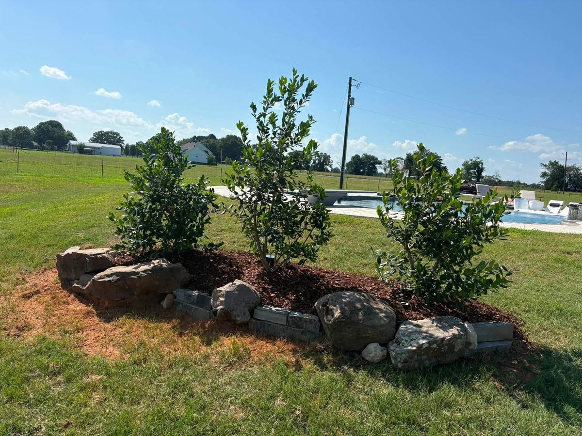 Boulder-edged shrub bed newly installed in an open yard near a pool