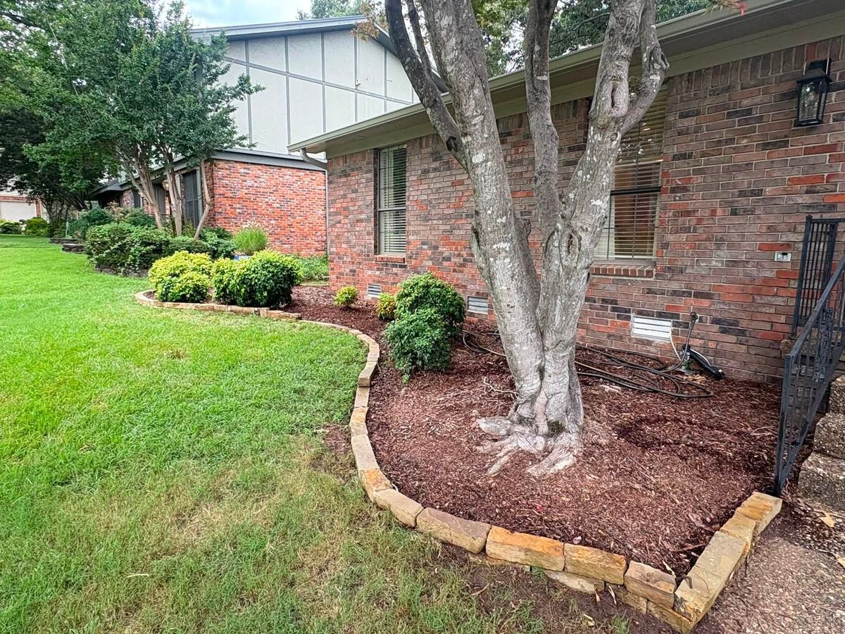 Crepe myrtle tree bed with curved stone edging along a lawn